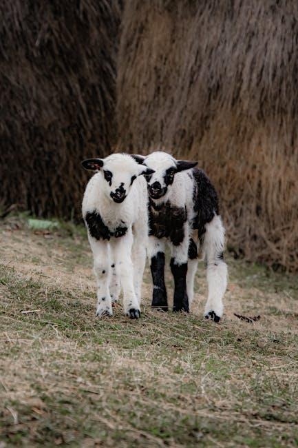 Put do uspeha: Male tajne srpskog preduzetništva