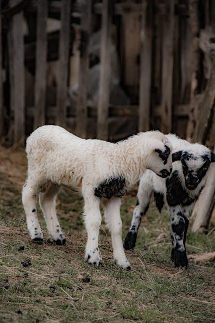 Putovanje kroz srpski preduzetnički mentalitet